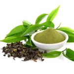 green-tea-extract